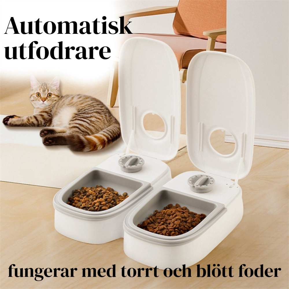 Automatisk utfodring med Smart matdispenser för katter och hundar med timer och rostfri skål.